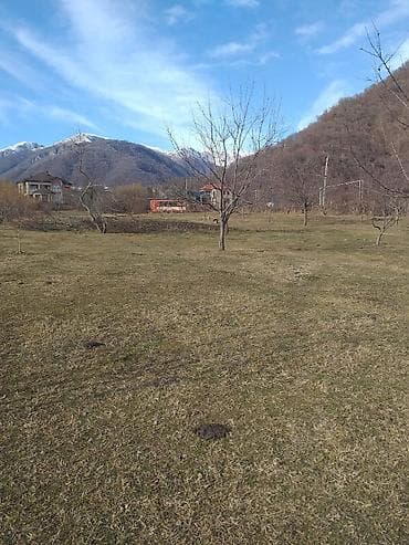 qalada xasaxunada ev torpaq: Tikinti — 3