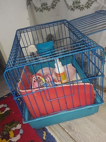 ev dovşan: Heyvan qəfəsi və aksesuar dəsti - Material: mavi metal karkas, möhkəm — 6