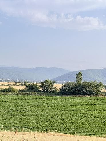 berde kiraye: 3 sot, Tikinti, Mülkiyyətçi, Kupça (Çıxarış), Texniki pasport — 2