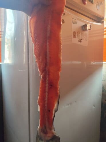 Balıq və dəniz məhsulları: Məhsul: Dondurulmuş qızılbalıq onurğası kqsı:8.70 qızardıb yemək — 2
