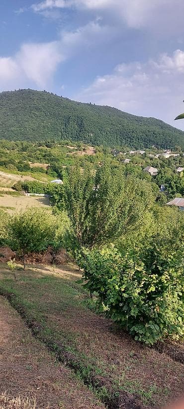quba 5 sotlar: 20 sot, Tikinti, Makler, Bələdiyyə — 3