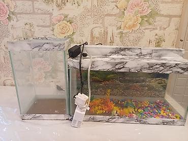 akvarium baki: Akvaryum dəsti - 2 ədəd şüşə akvaryum: biri enli-uzun düzbucaqlı — 1