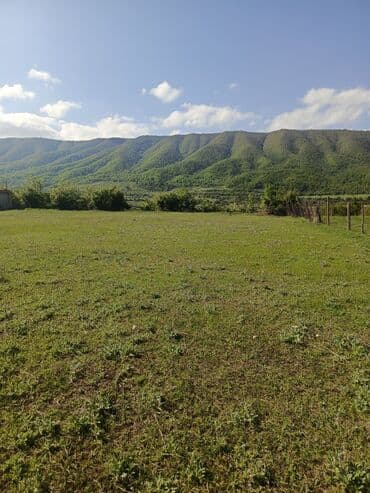 продается земельный участок: 30 sot, Tikinti, Mülkiyyətçi, Kupça (Çıxarış) — 12