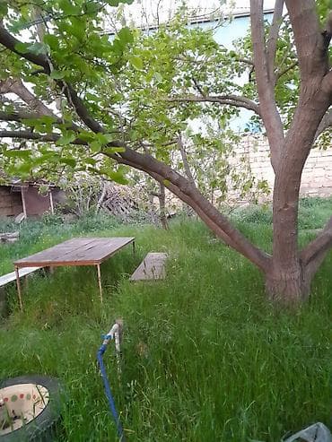 8 sot, Kənd təsərrüfatı, Kupça (Çıxarış) — 6