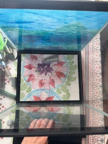 heyvanlar cütləşməsi: Akvaryum dəsti 1 akvaryum tezedi qalan herwey iwlenmiwdi ekseryeti az — 2