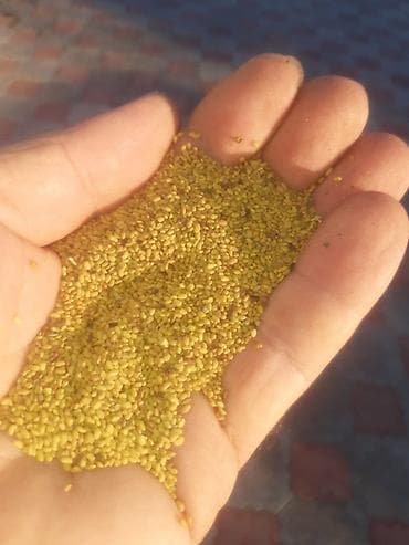 Məhsul: Təsvir - Təbii, sarı yonca toxumu Beyləqan sortu. İdeal