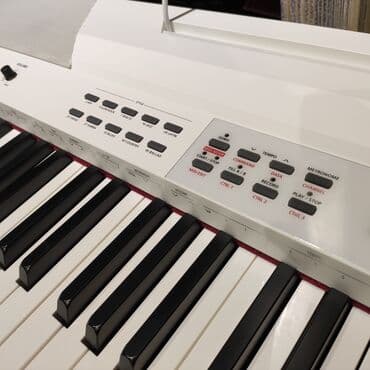 sintezator almaq: Elekto piano Kurzweil KA-90 Polifoniya:128 Klavişlər:88 Səslər:20 — 5