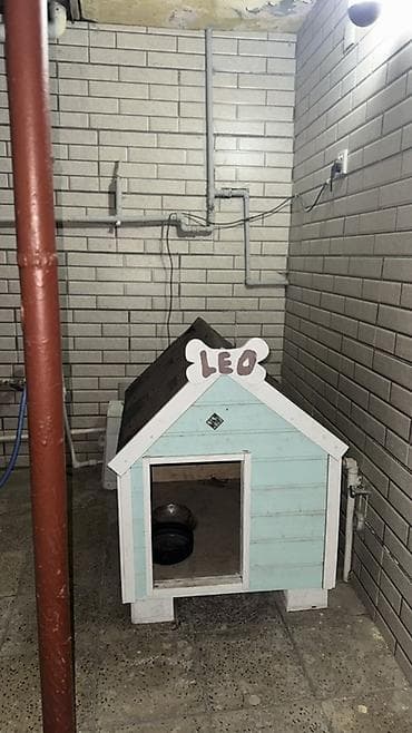 keci seki: Taxta IZOLASIYALI isti it evi – orta ölçülü itlər üçün. Çox bahaya — 1