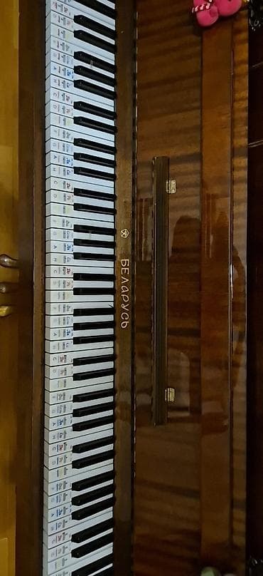 usaq besiyi ucuz qiymete: Belarusun şamdamli pianinasi.Uşaqlar üçün asadirilmiş notlar — 3