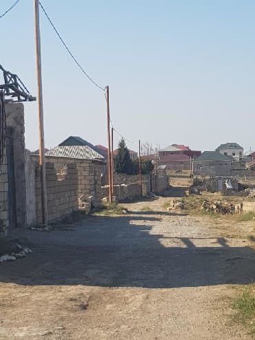 findiq agaci satilir: 16 sot — 2