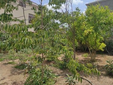 xətai kirayə: 150 kv. m, 4 otaqlı, Qaz, İşıq, Su — 11