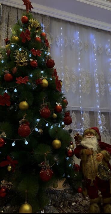 sultan daragi gülü: Yolka ve oyuncaqlari satilir! 1.8 m yolka, çox gozel yolkadir, butun — 1