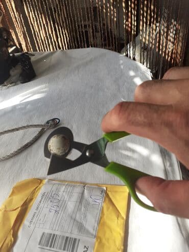 bildirçin yuvası: Bildircin yumurtasi kesen zakazla gelib 15 man — 2
