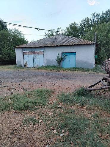binəqədidə heyet evleri: Ferma/təsərrüfat kompleksi - Heyvandarlıq üçün tikili və açıq — 3