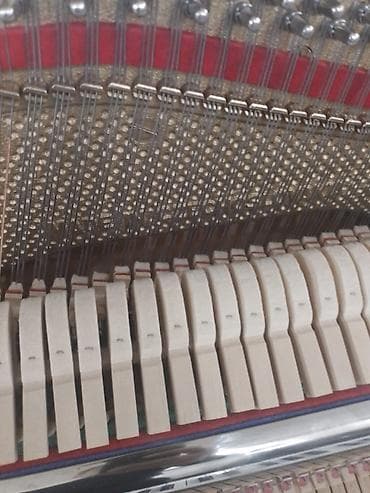 pianino daşınması: Pianolar — 7