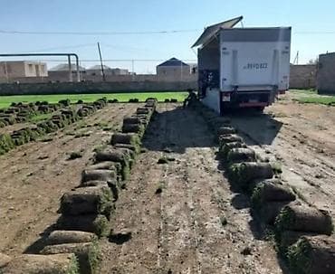 baseyn temizlenmesi: Salam Alekum N1 Qazon satışı başladı Rulon qazon və landşaft — 4