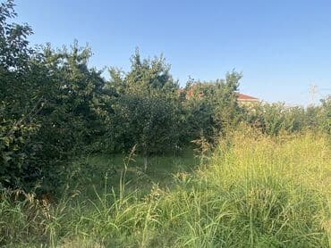 zirə ev: 5 комнат, 168 м², Нет кредита, Без ремонта — 7