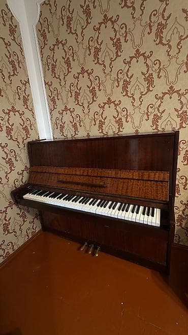 gitara ucun pedal: Piano, Belarus, Akustik, İşlənmiş, Ünvandan götürmə — 3