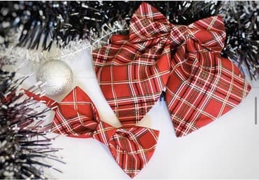 xari bulbul yaxa sancagi: Бабочка, бант
Тематические и стандартные банты и бабочки — 5