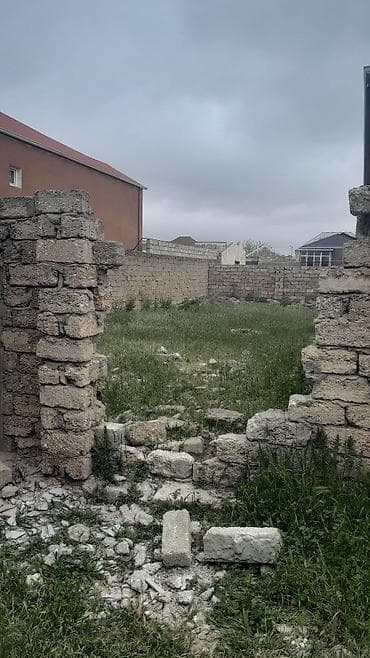 Tikinti — 5