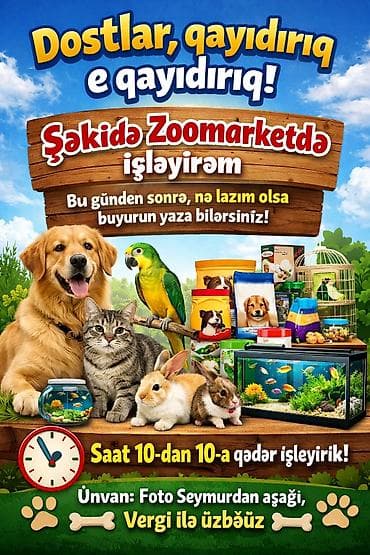 Heyvanlar: ZOOMARKET – Ev heyvanlarının baxımı, qrominq və baytarlıq xidmətləri — 5
