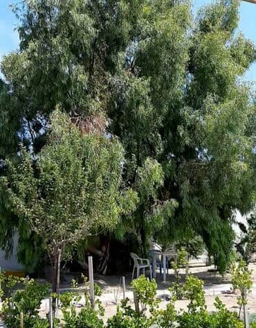 baki hovuzlu evler: 200 kv. m, 4 otaqlı, Qaz, İşıq, Su — 13