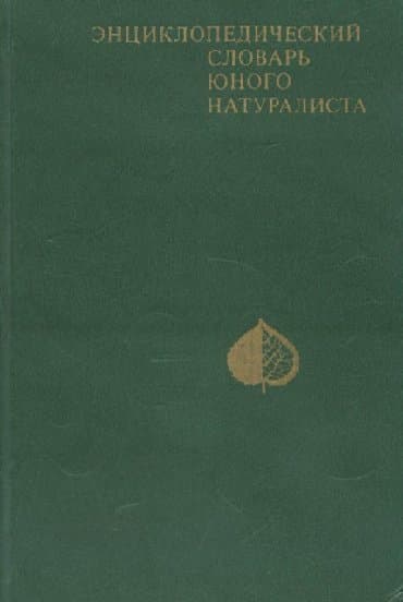 Lüğətlər: Англо-русский словарь - Мюллер В.К.(53000 слов)- 20 манат Дополнение — 6