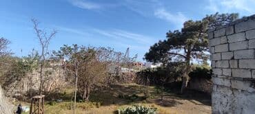 земельный участок в деревне: 6 соток, Для бизнеса, Собственник — 9