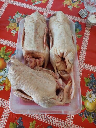 Ləpələr: Məhsul: Hazır təmizlənmiş ördək əti - Tam karkas şəklində, içalatı — 4
