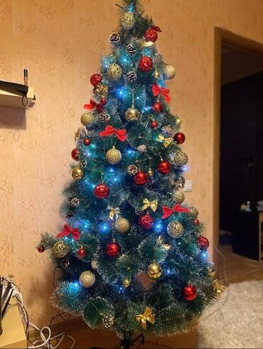 Yolka lalafo.az -da Yolka