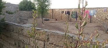basavik satisi: Çox TƏCİLİ ƏLİMYANDI SATILIRHasarlı daş hasarla əhatələnmiş həyət — 2