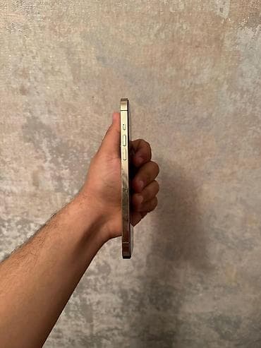 iphone x 128: IPhone 12 Pro Max, 128 GB, Qızılı, Face ID — 3