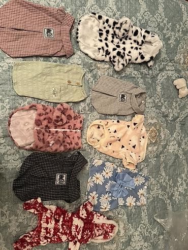 5 aznden baslayan it pisik geyimleri yenidir magaza baglanib deye ucuz