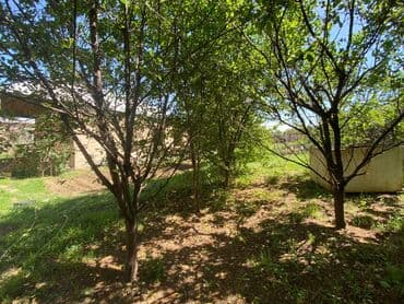 ремонт генератор: Kərpiçdən tikilmiş, taxta örtüyü olan tikili. Evin sənədi yoxdur lakin — 7