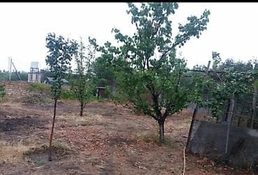 satdig ev: 100 kv. m, 3 otaqlı, İşıq, Su, Kanalizasiya — 6