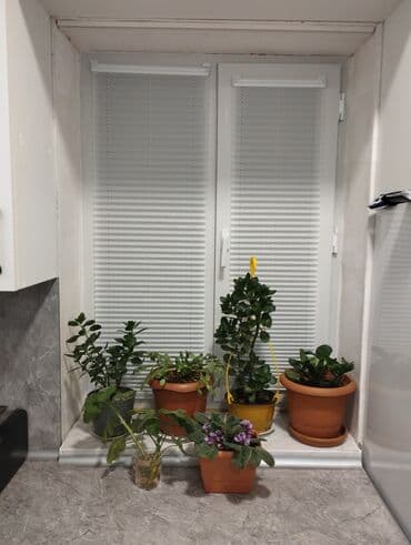 римские шторы в баку: Zebra stop plice çatdırılma quraşdırılma pulsuzdur evdə seçim imkanı — 1