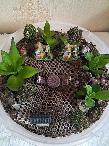 matras taxt: Mini bağ-teraryum kompozisiyası - Dairəvi şəffaf qabda hazırlanmış — 1