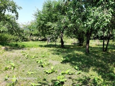 şabran torpaq: 10 sot, Tikinti, Mülkiyyətçi, Kupça (Çıxarış) — 18