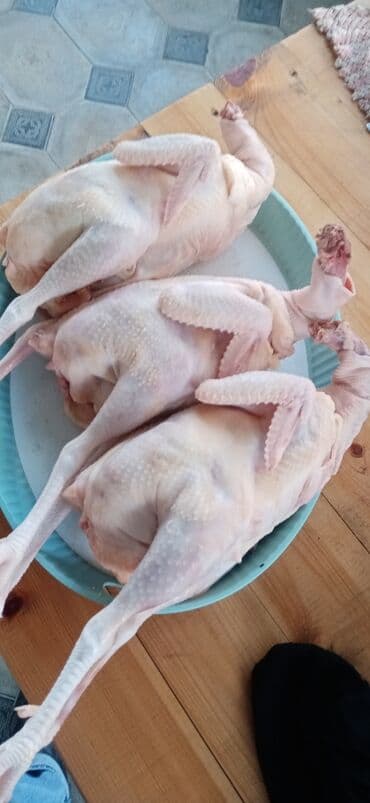 ayagi tuklu toyuqlar: Təmizlənmiş toyuqlar — 3