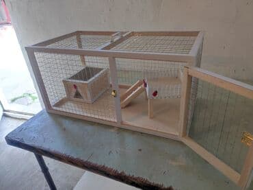 bildirçin yuvası: Dovşan,hamster,şinşila,bildirçin,cücə,xamyak,pişik,quş ve s kimi ev — 2