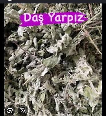 Daş yarpız – ətirli, qurudulmuş dağ nanəsi (yarpaq-saplaq-budaq lalafo.az -da Daş yarpız – ətirli, qurudulmuş dağ nanəsi (yarpaq-saplaq-budaq