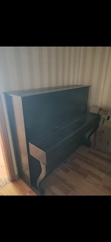 - Korpus: klassik düz (upright) model, qara rəngli ağac örtük - lalafo.az -da - Korpus: klassik düz (upright) model, qara rəngli ağac örtük -