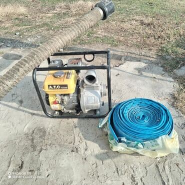 Bitkilər: Su matoru — 1