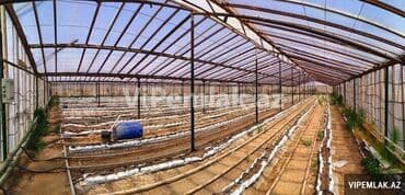 недвижимость в кусарах: Təcili ucuz qiymətə satılır. Salam aleykum, bildiyiniz kimi quru — 4