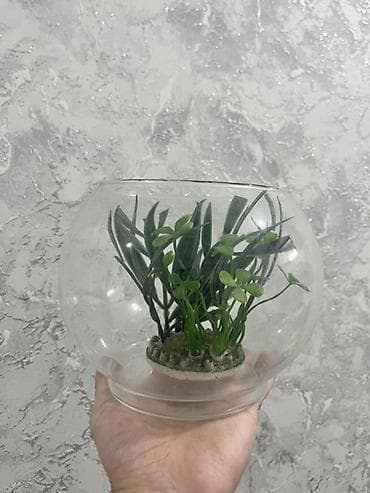 Şüşə akvarium dekorativ süni bitki içinde 3 litir su tutumu