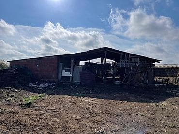 Tecili satilir ferma imisli rayonunda 115 h torpagi var daima kanal — 10