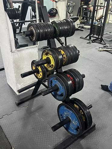 batut nədir: Ştanq diski — 1