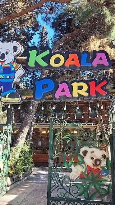 Koala Park yaxinliginda kiraye menzil axtarilir 1ci mertebe olsa daha