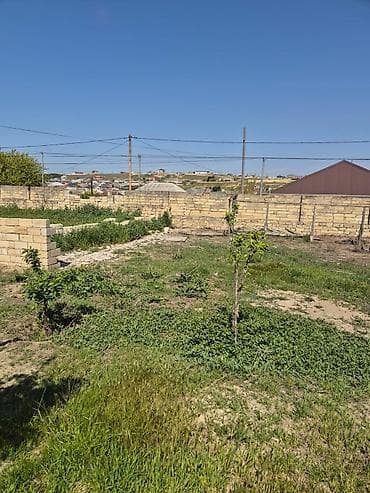 4 sot, Tikinti, Kupça (Çıxarış)