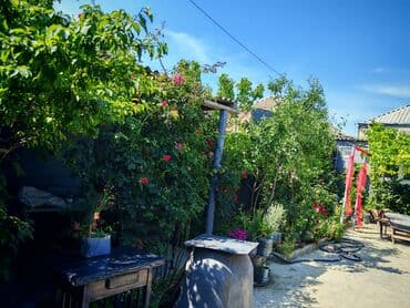 Yelləncəklər: Hövsan Zeytun qesebesi Beton yoluna 5deqiqelik məsafə.Binə və — 14